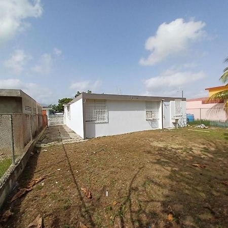 Family House Rain Forest And Beaches Pet Friendly Río Grande Exteriér fotografie
