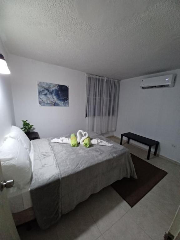 Family House Rain Forest And Beaches Pet Friendly Río Grande Exteriér fotografie