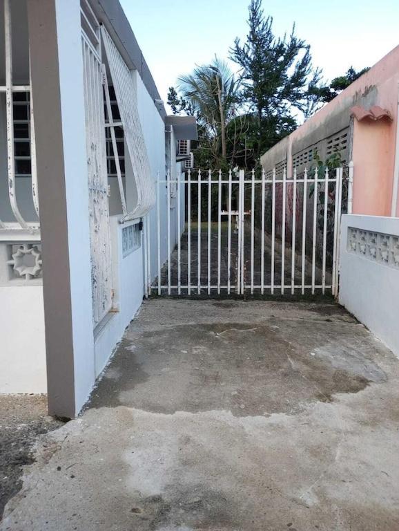 Family House Rain Forest And Beaches Pet Friendly Río Grande Exteriér fotografie